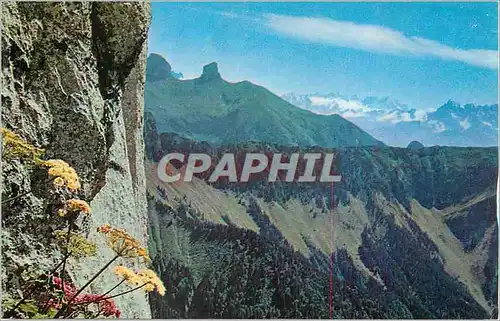 Cartes postales moderne Rochers de Naye (2045 m) Les Dents du Midi Les Tour d'Ai et de Mayen