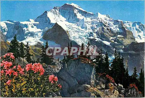 Cartes postales moderne Die Jungfrau 4158 m