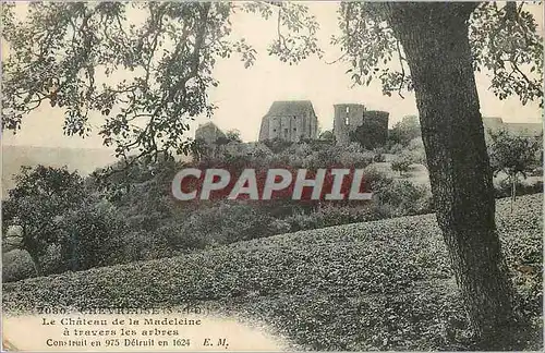 Cartes postales Chevreuse (S et O) Le Chateau de la Madeleine a Travers les Arbres
