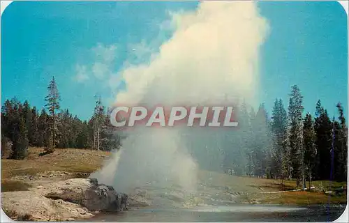 Cartes postales moderne Yellowstone National Park Geyser Basin