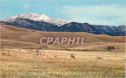 Moderne Karte Home on the Range Where the Antelope Play