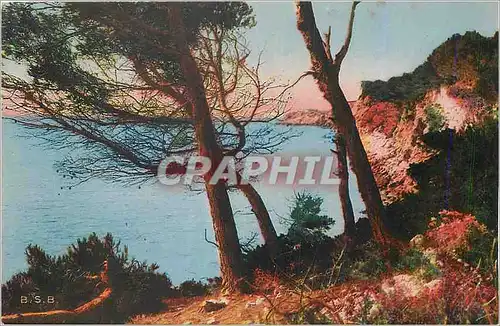 Cartes postales moderne Sanary (Var) Vue sur la Cride