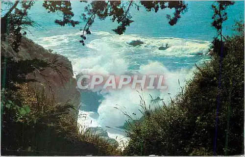 Cartes postales moderne Along the Coast of California