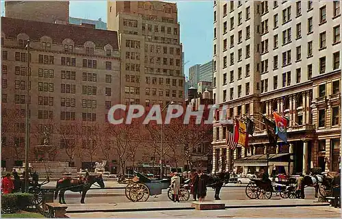 Moderne Karte The Familiar is the Hansom Cab awaiting Passengers for a Ride Through Central Park