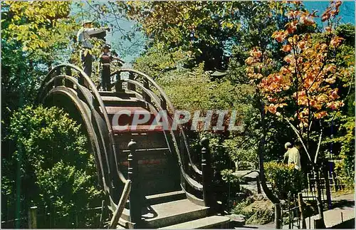 Cartes postales moderne San Francisco Oriental Te Garden