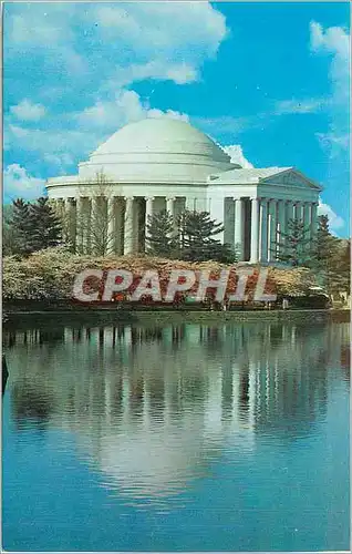 Cartes postales moderne Washington DC The Thomas Jefferson Memorial Cherry Blossom Time