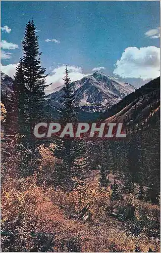 Cartes postales moderne Colorado Rockies Torries Peak Elevation