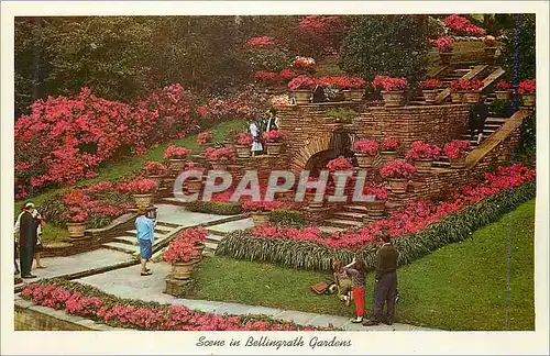 Cartes postales moderne Scene in Bellingrath Gardens Mobile Alabama
