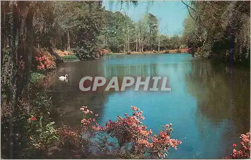 Cartes postales moderne Alabama Beautiful Mirror Lake in Bellingrath Gardens