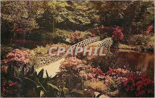 Cartes postales moderne Alabama Bellingrath Gardens near Mobile