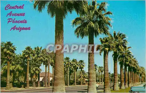 Moderne Karte Central Avenue Phoenix Arizona Palm Lined Central Avenue