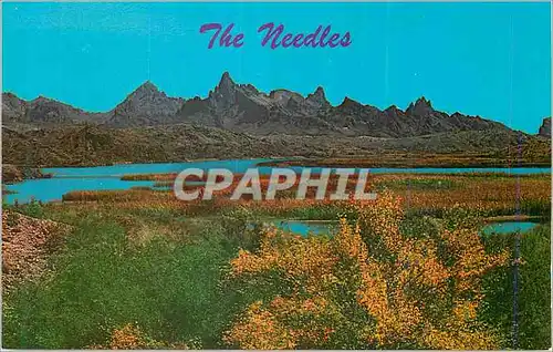 Moderne Karte The Needles Near Topock Arizona