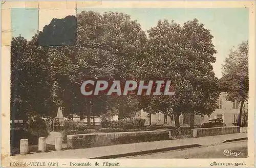 Ansichtskarte AK Pont de Veyle (Ain) Promenade de l'Eporon