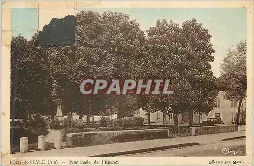 Cartes postales Pont de Veyle (Ain) Promenade de l'Eporon