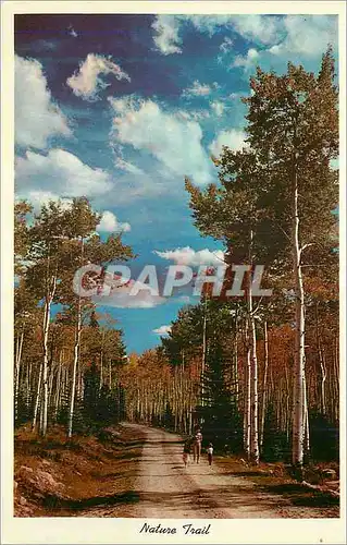 Cartes postales Nature Trail
