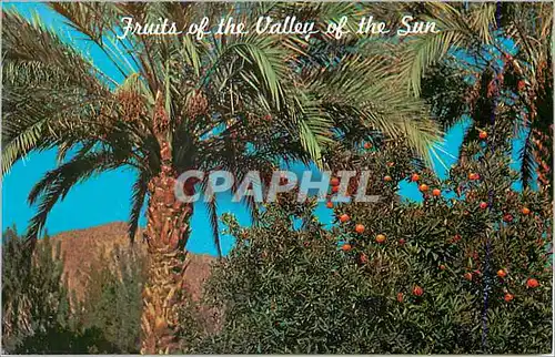 Cartes postales Fruits from the Valley of the Sun