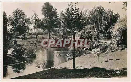 Cartes postales moderne Vichy Le Bassin dans les Nouveaux Parcs