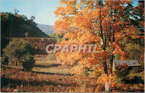 Cartes postales moderne Virginia Blue Ridge Parkway