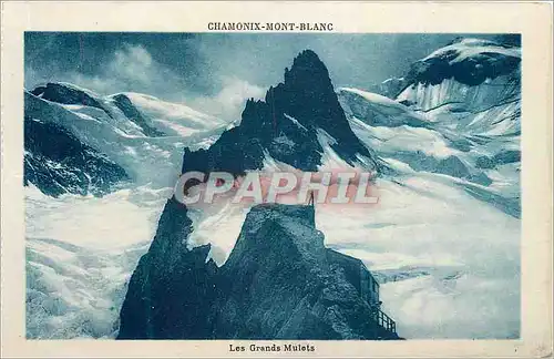 Ansichtskarte AK Chamonix Mont Blanc Les Grands Mulets