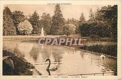 Cartes postales Tarbes Les Hautes Pyrenees Jardin Massey Le Petit Bassin