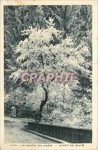 Cartes postales La Savoie en Hiver Effet de Givre