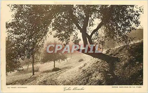 Cartes postales Les Vosges Artistiques