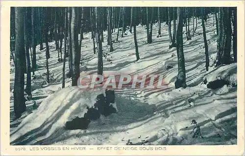 Cartes postales Les Vosges en Hiver Effet de Neige sous Bois