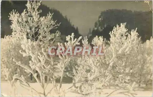 Cartes postales Nachbildung Gesetzlich Verboten