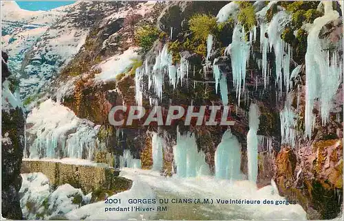 Cartes postales Gorges du Cians (A M) Vue Interieure des Gorges pendant l'Hivers