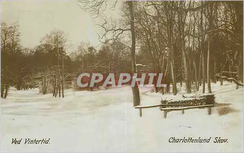 Cartes postales Ved Vintertid Charlottenlund Skov