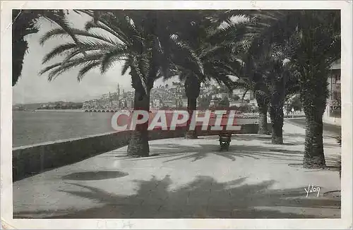 Cartes postales moderne Menton Cote d'Azur La Douce France La Ville vue a Travers les Palmiers