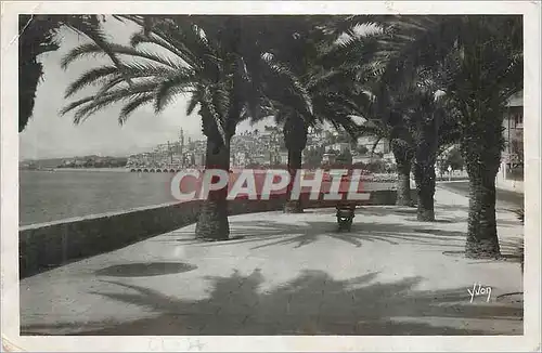 Moderne Karte Menton Cote d'Azur La Douce France La Ville vue a Travers les Palmiers