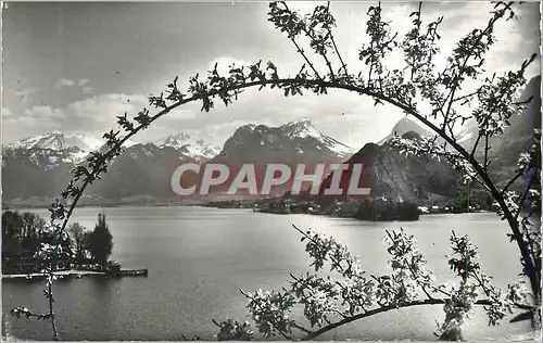 Cartes postales moderne Lac d'Annecy Grace Printaniere au Petit Lac