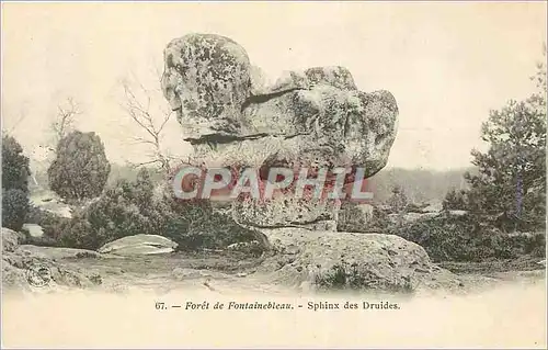 Ansichtskarte AK Foret de Fontainebleau Sphinx des Druides