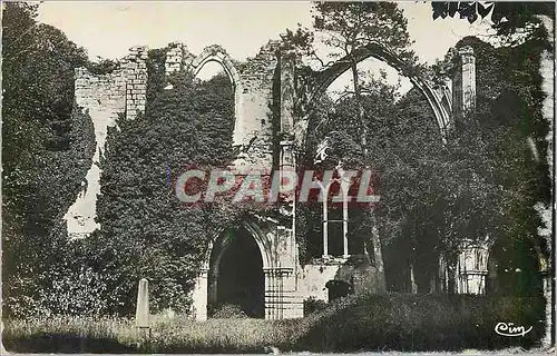 Cartes postales moderne Dammarie les Lys (S et M) Ruines du Chateau de Lys