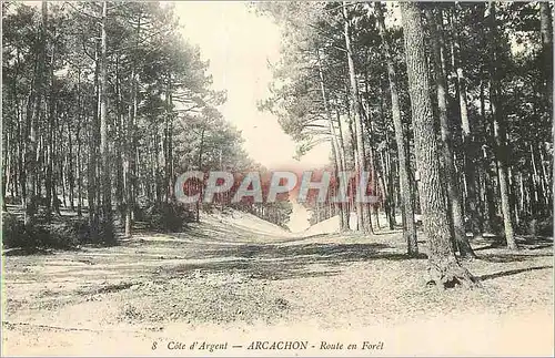 Ansichtskarte AK Cote d'Argent Arcachon Route en Foret