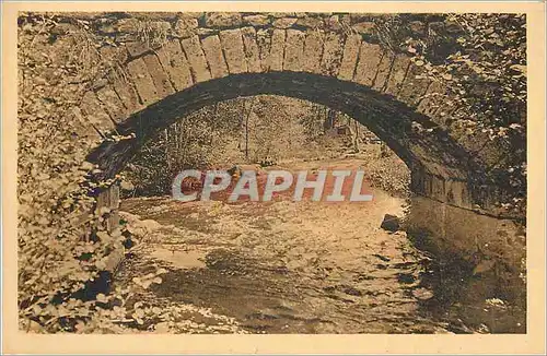Cartes postales Abbaye de la Pierre qui Vire (Yonne) Le Pont sur le Trinquelin et la IIIe Station du Chemin de C