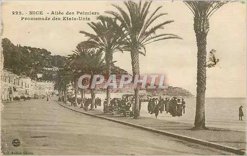 Ansichtskarte AK Nice Allee des Palmiers Promenade des Etats Unis