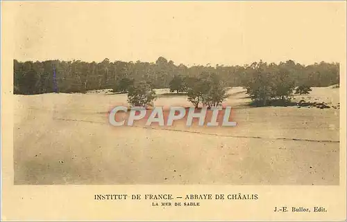 Ansichtskarte AK Abbaye de Chaalis Institut de France La Mer de Sable