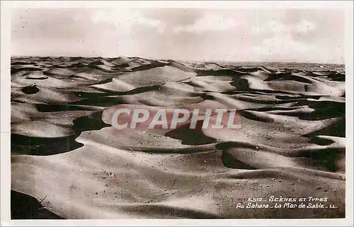 Cartes postales Scenes et Types Au Sahara La Mer de Sable