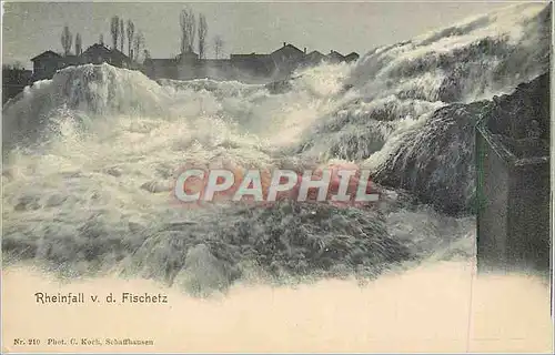 Ansichtskarte AK Rheinfall v d Fischetz