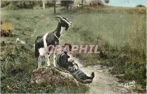 Cartes postales moderne Scenes Champetres Chevre Gardant sa Chevriere Enfant