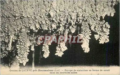 Cartes postales Grottes de Lacave pres Rocamadour (Lot) Groupe de Stalactite