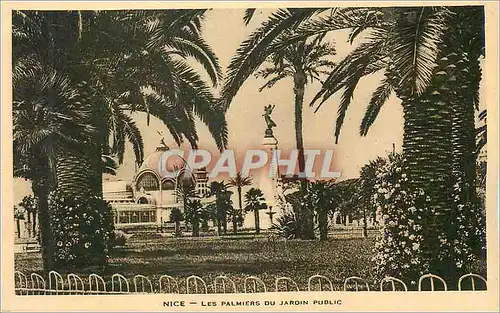 Cartes postales Nice Les Palmiers du Jardin Public