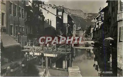 Cartes postales moderne Annecy (Haute Savoie) Sur le Canal du Thiou