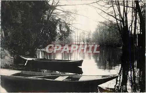 Moderne Karte Vermenton (Yonne) Les Bords de la Cure