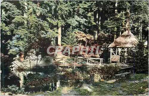 Cartes postales moderne Saint Die (Vosges) Fontaine Moliere