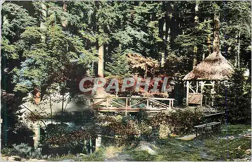 Moderne Karte Saint Die (Vosges) Fontaine Moliere