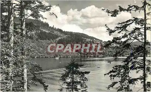 Cartes postales moderne Gerardmer Les Bords du Lac