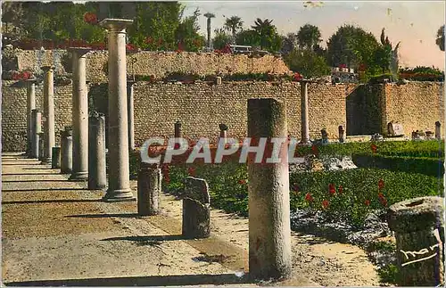 Cartes postales moderne Vaison La Romaine Le Portique de Pompee